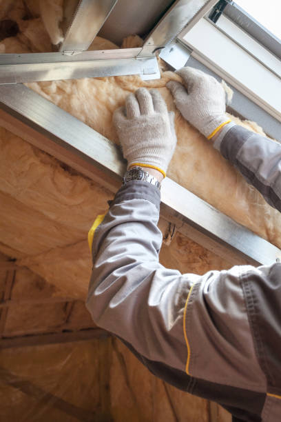 Best DIY Insulation Kits and Guidance in Center Line, MI