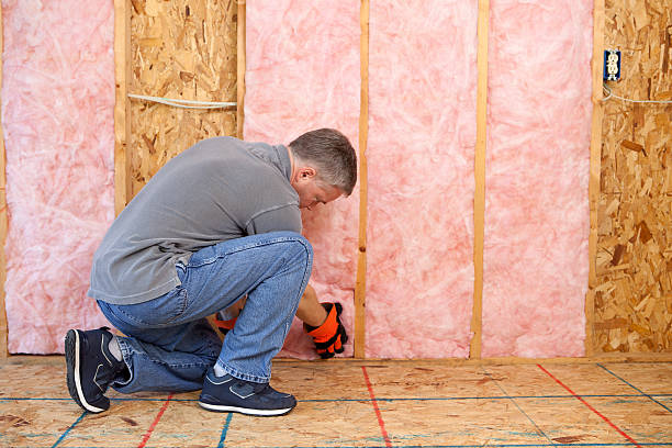 Best Insulation Maintenance and Repair in Center Line, MI