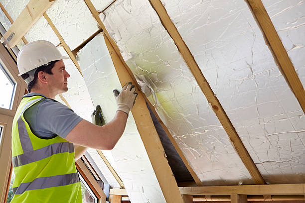Best Insulation Maintenance and Repair in Center Line, MI