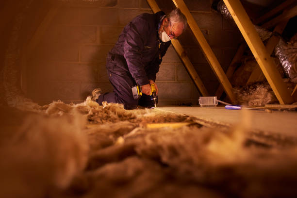 Best Eco-Friendly Insulation in Center Line, MI